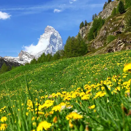 Lejlighed La Prairie By Interhome Zermatt